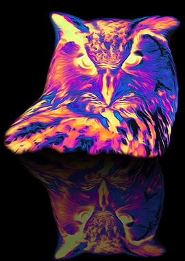 Spectrum Owl