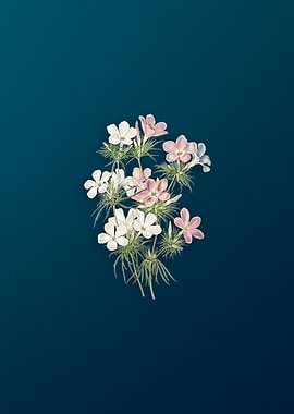 Thick Flower Slender Tube