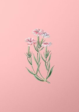 Vintage Tree Pink on Pink