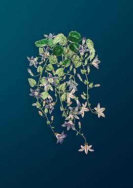 Vintage St Angelo Flower