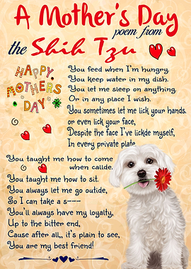 SHIH TZU MOTHER DAY