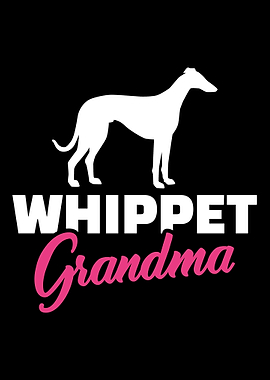 Whippet