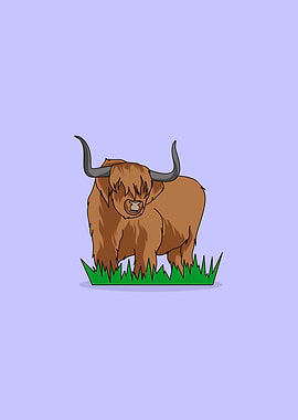 highland cow