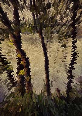 Trees by the lake water