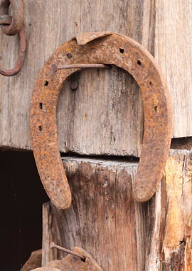 Horseshoe