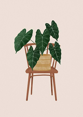 Philodendron Illustration