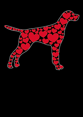 Cute German Shorthair