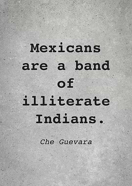 Che Guevara Quote L015