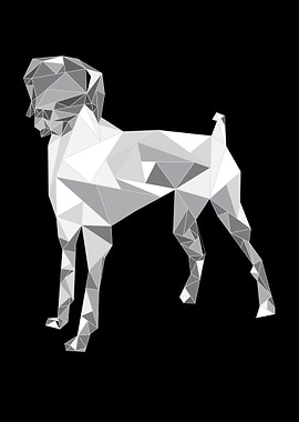 Cute German Shorthair