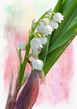 thrush in the garden