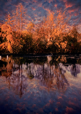 autumn reflection on river