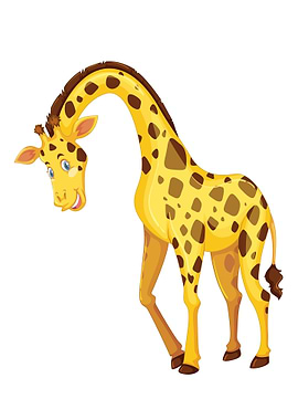 Giraffe animal
