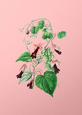 Twinning Red Cloak Flower