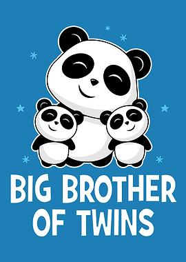 Big Brother Of Twins