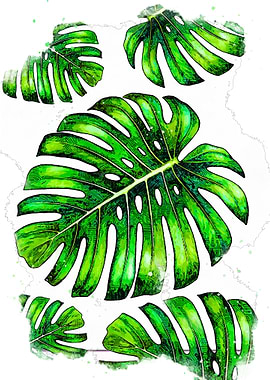 nature and watercolor