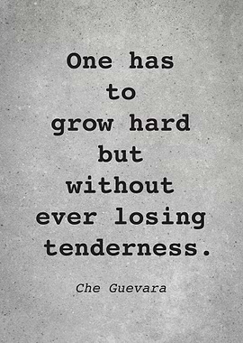 Che Guevara Quote L029