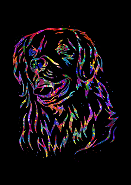 Golden Retriever head