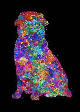 Golden Retriever dog