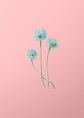 Blue Leek Flower Branch