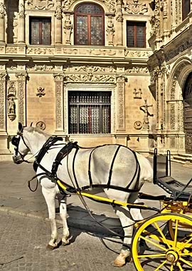 Carriage in Sevilla