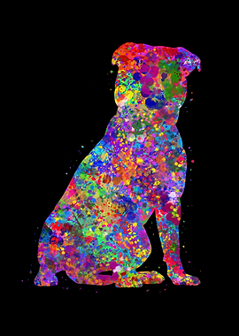 Staffordshire Bull Terrier