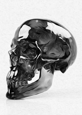 Study of a Human Skull