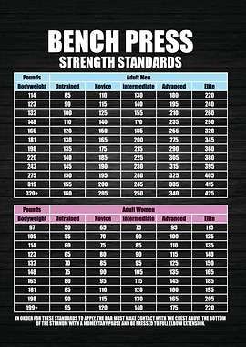 Bench Press Standards