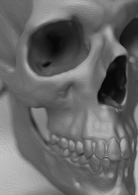 Study of a Human Skull