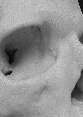 Study of a Human Skull