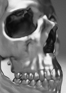 Study of a Human Skull