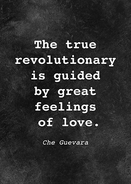 Che Guevara Quote D003