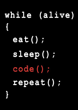 Programmer Coder
