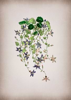 Vintage St Angelo Flower