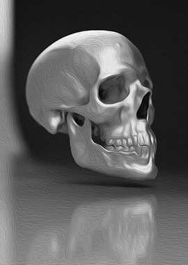 Study of a Human Skull
