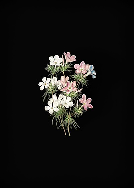 Thick Flower Slender Tube