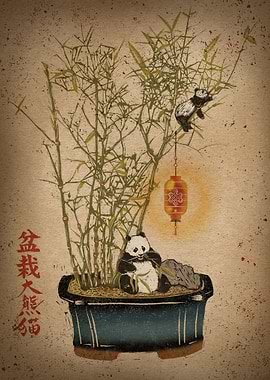 Panda Bamboo Bonsai