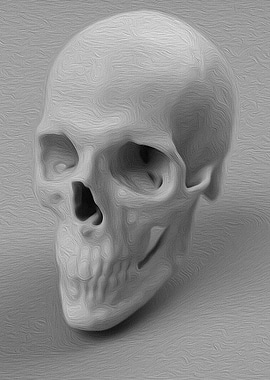 Study of a Human Skull