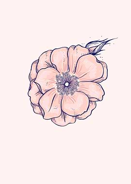 Pink Rose Flower Art