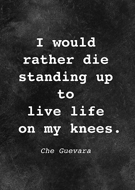 Che Guevara Quote D019