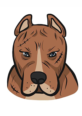 American pitbull dog face