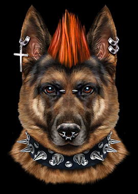 German Shepherd Dog Rock