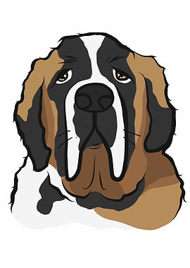 Saint Bernard dog face