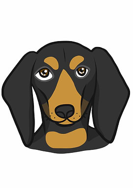Dachshund dog face
