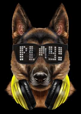 Rapper German Shepherd Dog