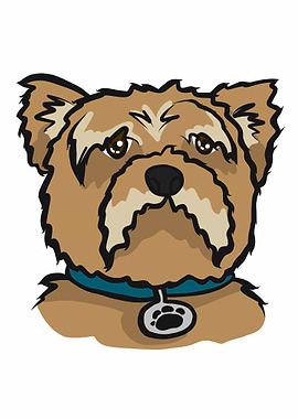 Yorkshire Terrier dog face