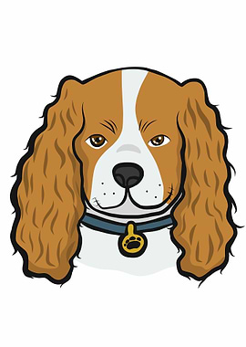 Cocker Spaniel dog face