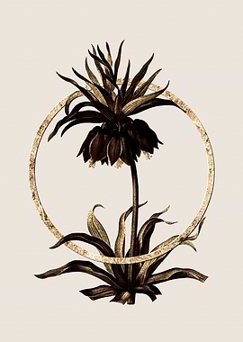 Gold Fritillaries Flower