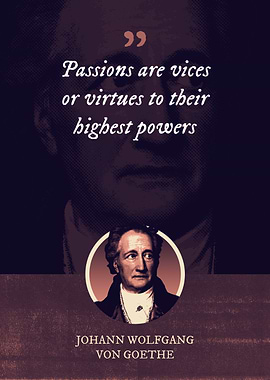 Passions are vices or
