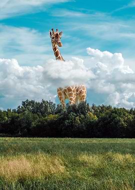 Gigantic Giraffe