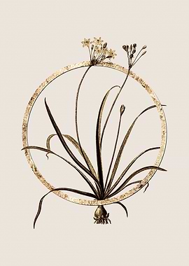 Gold Glitter Flower Circle